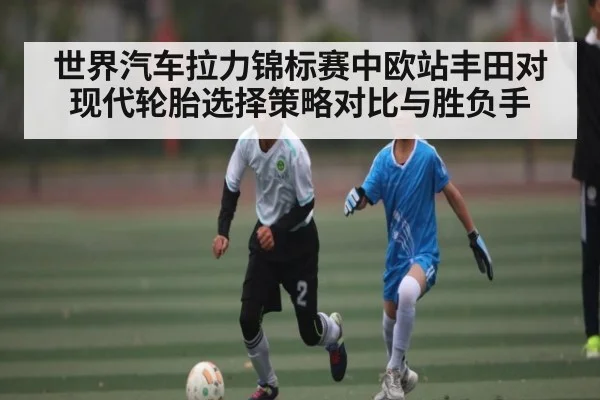 世界汽车拉力锦标赛中欧站丰田对现代轮胎选择策略对比与胜负手
